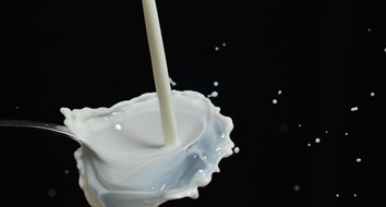 Dairies Are Dumping Millions of Gallons of Milk While Stores Are Rationing It Due to the Coronavirus. What’s Going On?